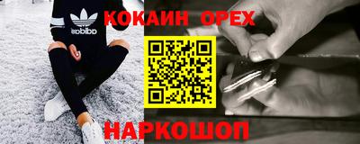 Альфа ПВП Можга