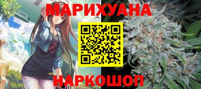 Альфа ПВП Можга