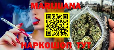 Альфа ПВП Можга