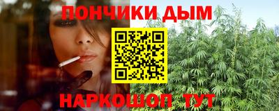 Альфа ПВП Можга